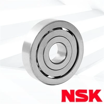 NSK Stainless Steel Bearing